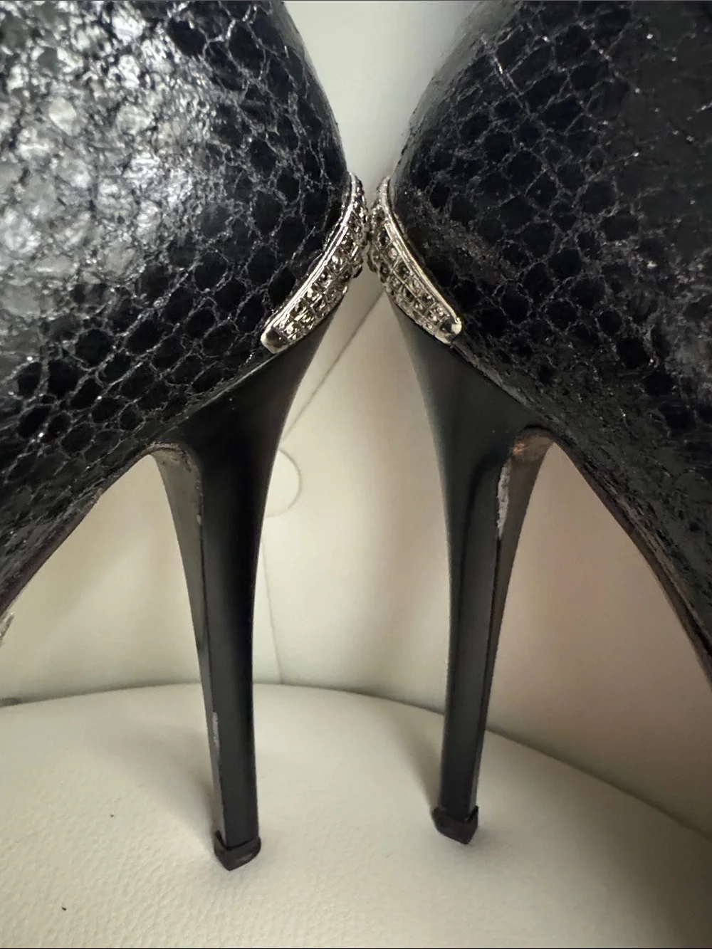 Giuseppe Zanotti bold over